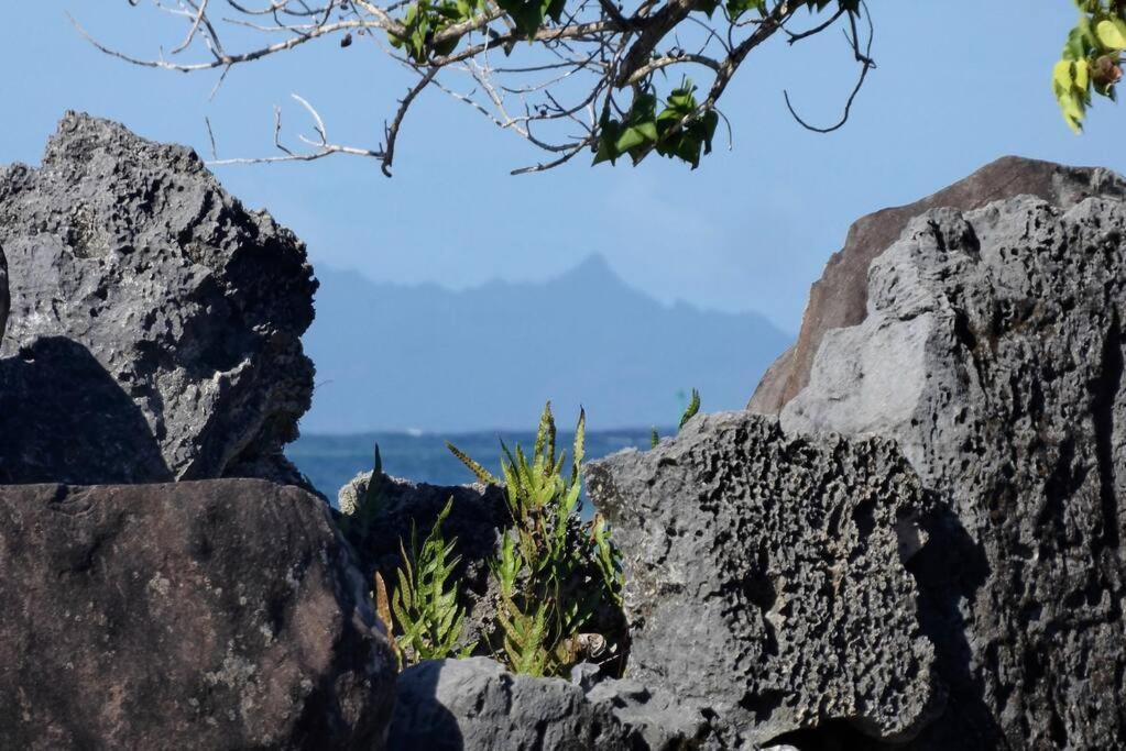 Raiatea, Opoa, Studio Du Fare Reve, Acces Mer Privatif Exterior foto