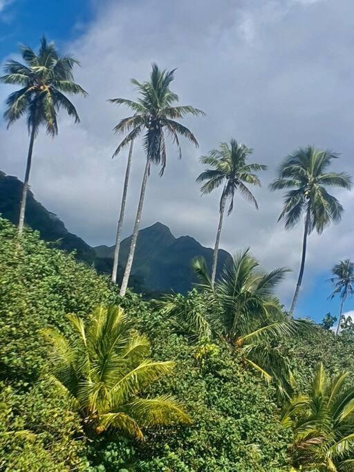 Raiatea, Opoa, Studio Du Fare Reve, Acces Mer Privatif Exterior foto